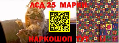 spice Заводоуковск