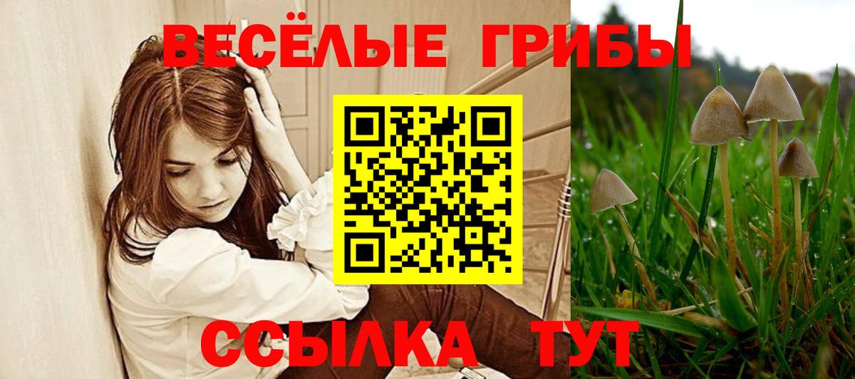 Галлюциногенные грибы MAGIC MUSHROOMS  Вход с VPN  Ялта 