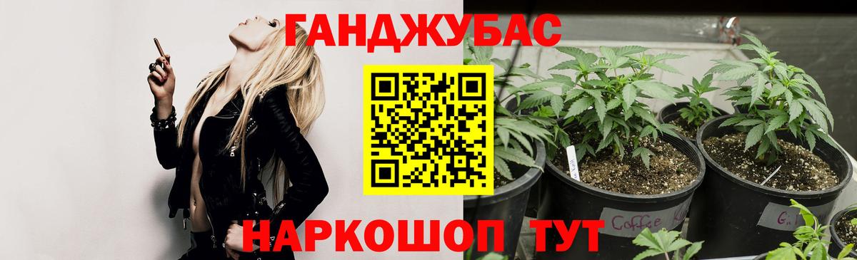Каннабис ГИДРОПОН Ялта